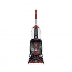 top rated pet carpet cleaners