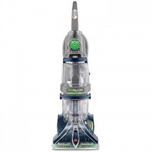 best carpet cleaner pets